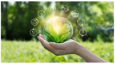 India’s Green Economy