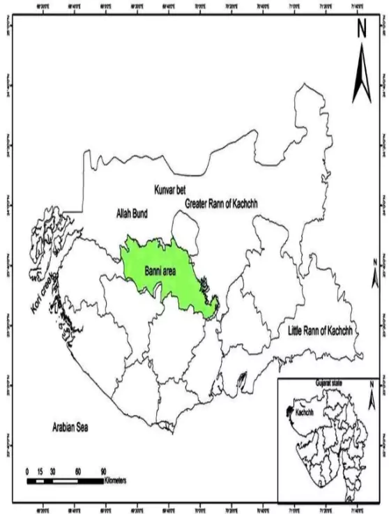 Banni Grasslands