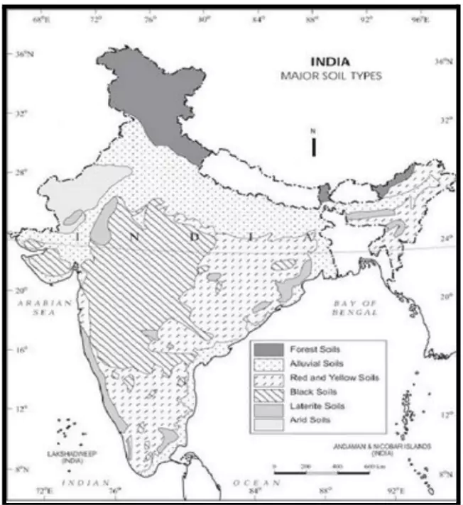 Soil-Focused Agricultural Policy