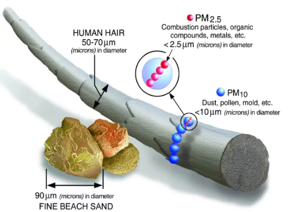 Secondary Pollutants