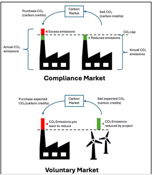 Carbon Credit