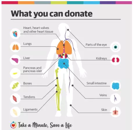 World Organ Donation Day