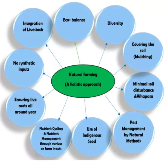 Natural Farming