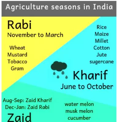 kharif and rabi crops