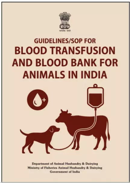 Animal Blood Transfusion