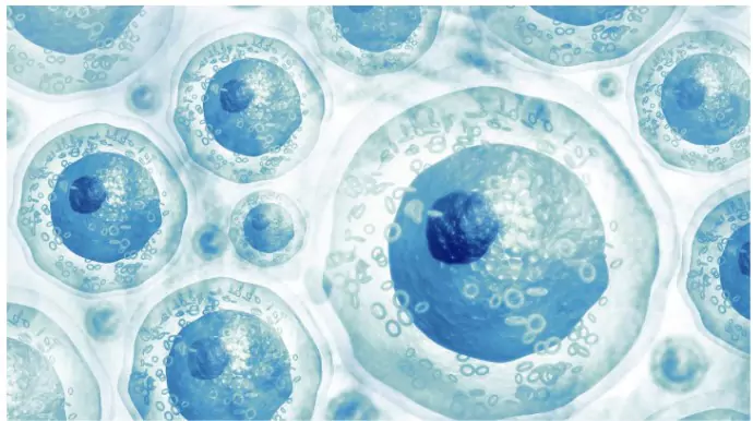 Programmed Cell Revival