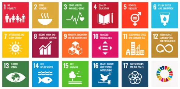 India-UN Global Capacity Building Initiative