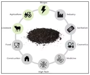 Biochar
