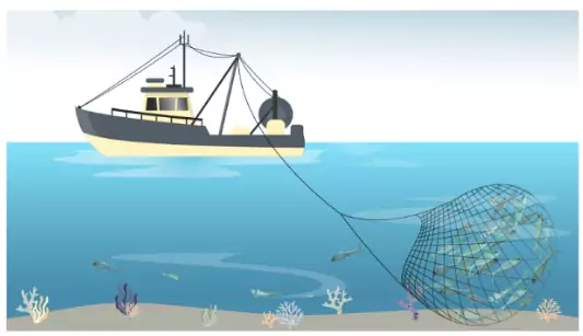 Palk Strait Disputes