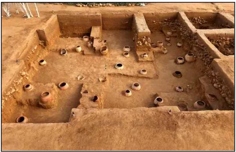 Iron Age Site