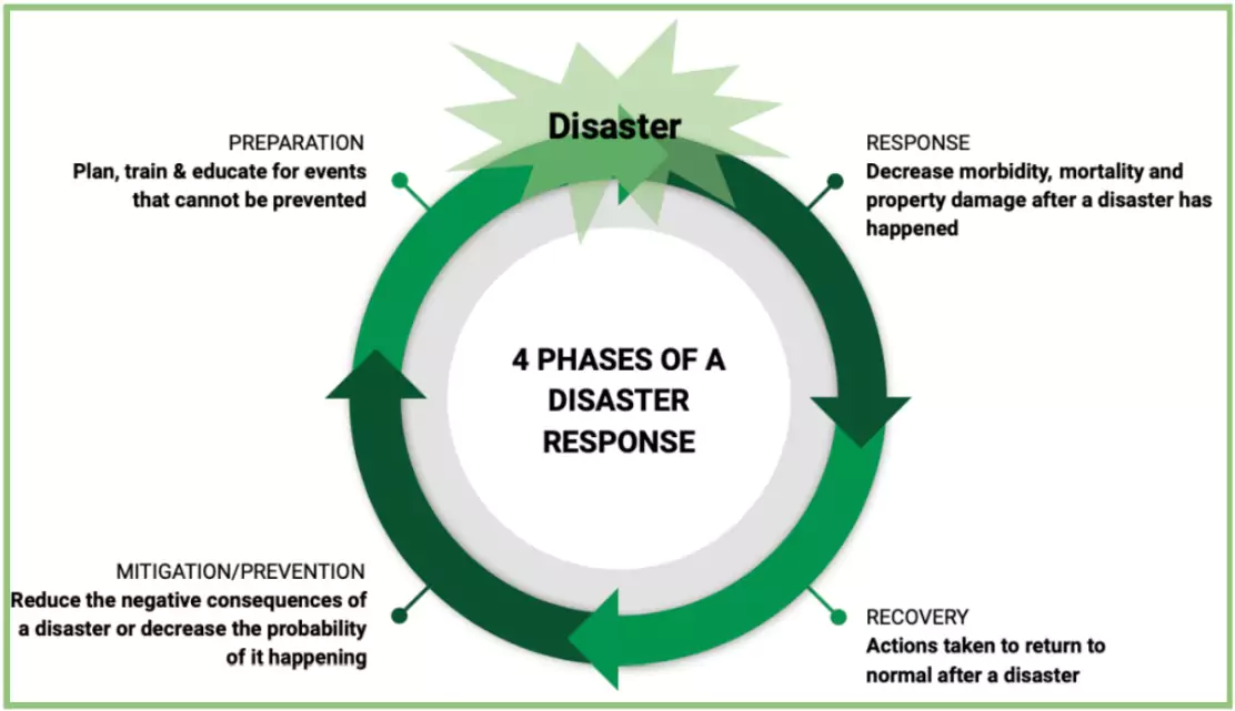Disaster Resilience
