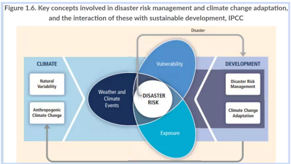 Disaster Resilience