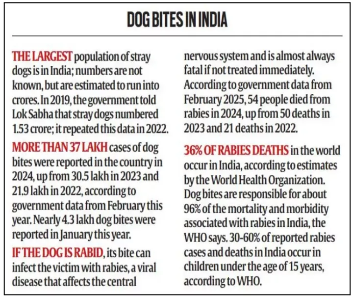 Stray Dog Crisis