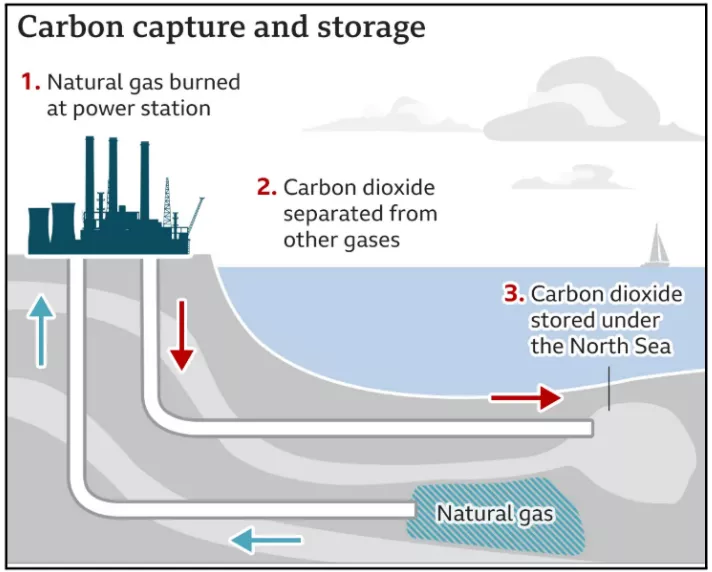 Soil’s Organic Carbon