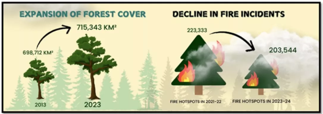 India’s Forest Conservation Efforts