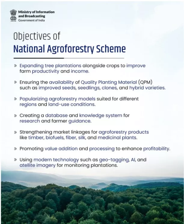 India’s Forest Conservation Efforts