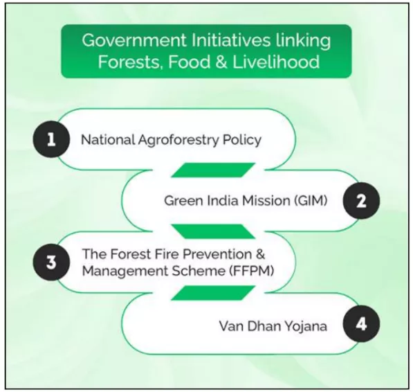 India’s Forest Conservation Efforts