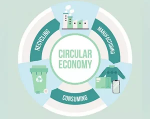 Circular Economy