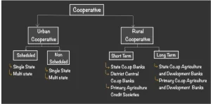 Urban Co-operative Banks