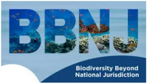 Biodiversity Beyond National Jurisdiction