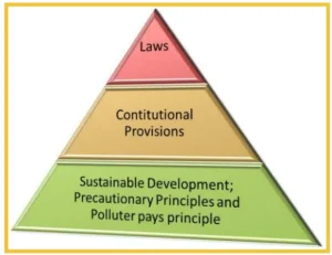 Environmental Rule of Law