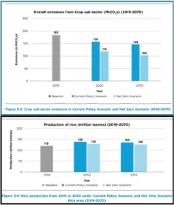 Net Zero Agriculture