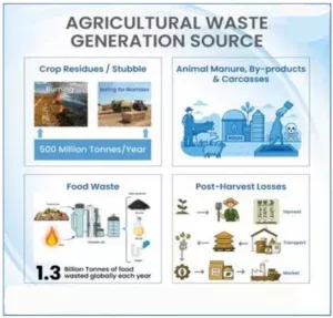 Circular Economy in Agriculture