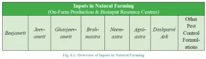 Natural Farming