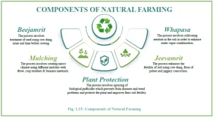 Natural Farming