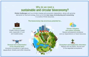 India Bioeconomy Report