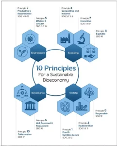 India Bioeconomy Report