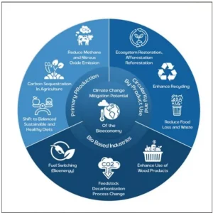 India Bioeconomy Report