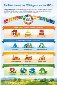 India Bioeconomy Report