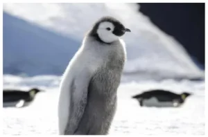 News in Shorts: 11 April 2026