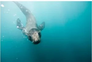 News in Shorts: 11 April 2026