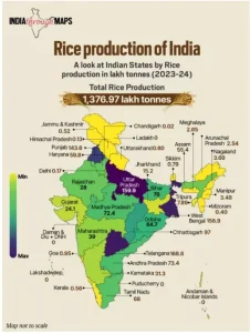 Designer Rice