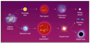 Massive Stars