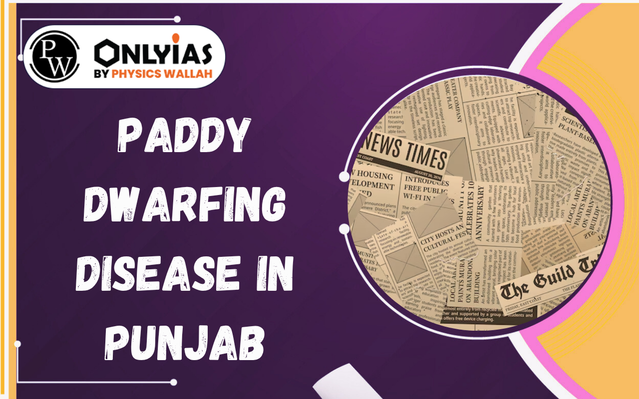 Paddy Dwarfing Disease in Punjab: Causes, Impact and Prevention Measures