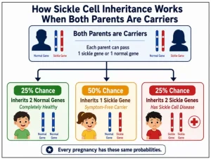 Sickle Cell Anaemia