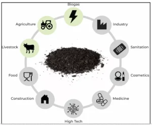 Biochar