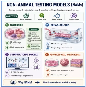 Non-Animal Testing Methods