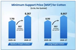 Cotton