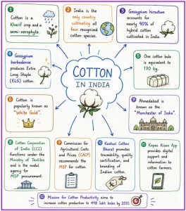 Cotton