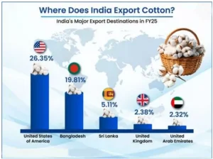 Cotton