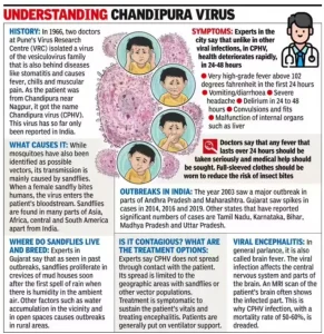 Chandipura Virus