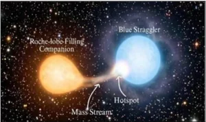 Blue Straggler Stars