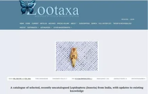 Lepidoptera