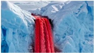 Blood Falls