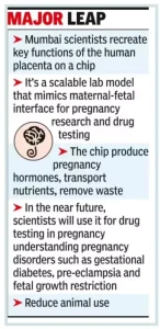 Placenta-on-Chip