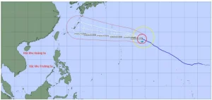 Typhoon Dolphin